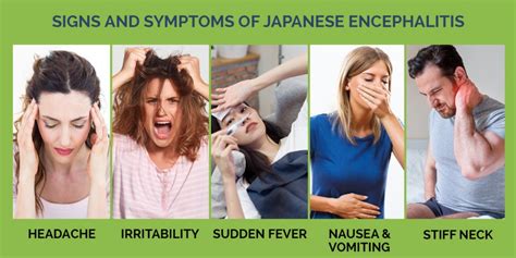 The Signs and Symptoms of Japanese Encephalitis