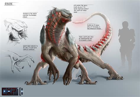 Rynyx Creature Concept Sheet by franeres on DeviantArt