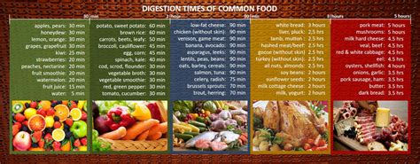 digestion times for common food