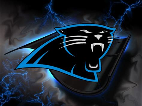 Panthers wallpaper | 1024x768 | #69488