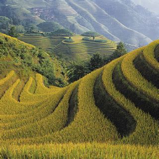 Wisata Alam Sawah di Bali Indonesia - Alam Mentari