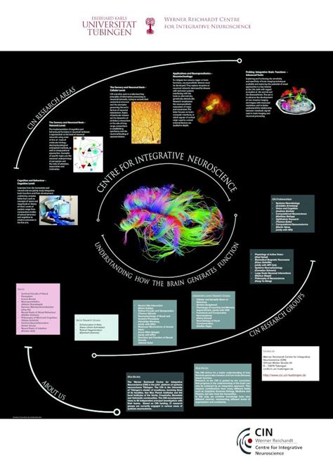 (PDF) Applications and Neuroprosthetics – Probing Integrative ... · Applications and ...