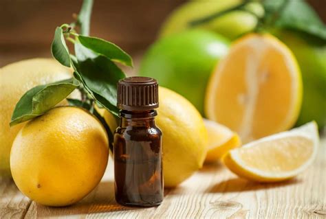 5 Uses For Lemon Essential Oil - Natural Working Moms