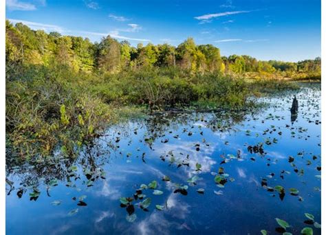 The Nature Conservancy in Ohio | Ashtabula County Visitors Bureau