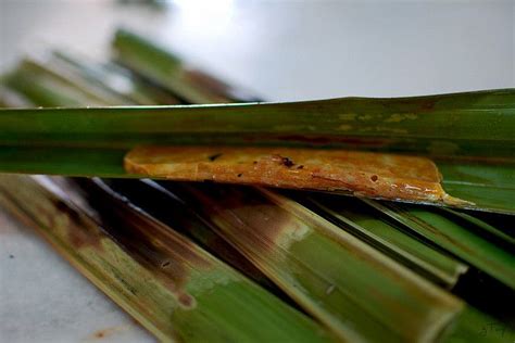 Get otak-otak from Muar - best! :D Malaysian Cuisine, Malaysian Food ...