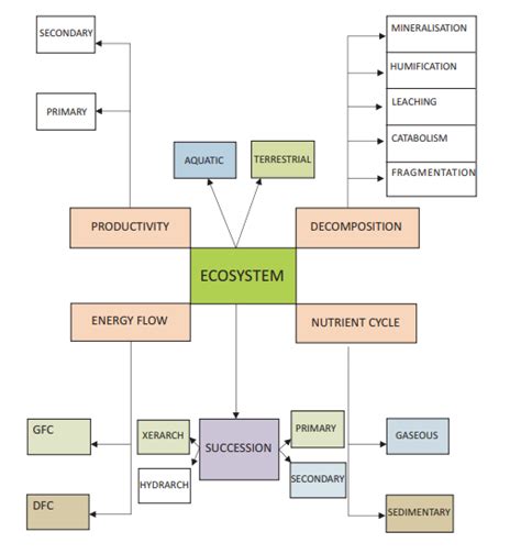 Concept Map For Biology