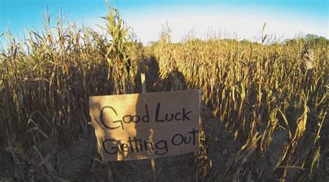 Sal's Haunted Corn Maze by Impractical Jokers | Haunted corn maze, Creepy halloween decorations ...