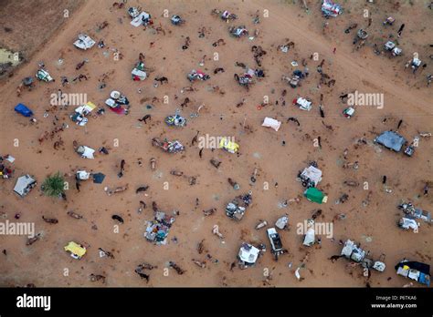 India, Rajasthan., Pushkar, Aerial view of Pushkar Camel Fair Stock Photo - Alamy