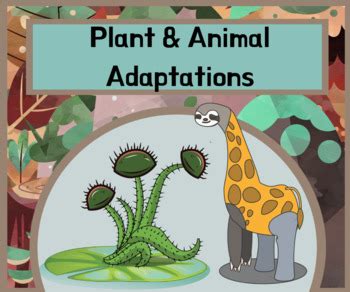 Plant & Animal Adaptations Bundle by Leasha's Lessons | TpT