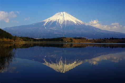 File:070127 tanuki-fuji.jpg - Wikimedia Commons