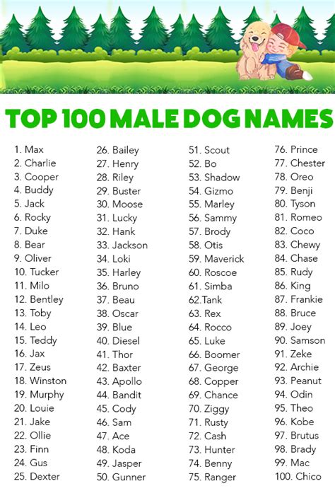 TOP 100 MALE DOG NAMES | Dog names male, Female dog names, Cute puppy names