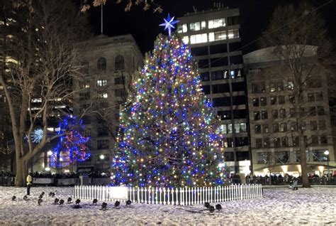 Don't Miss The Boston Common Christmas Tree Lighting This Thursday