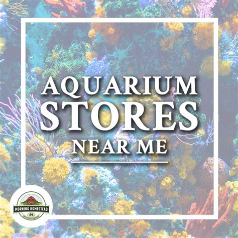 Aquarium Stores Near Me | Aquarium store, Saltwater aquarium fish ...