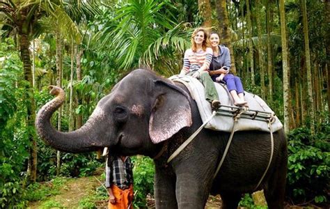 Elephant Ride In Thekkady - 5 Star Resort in Kerala