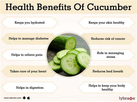 Benefits of Cucumber And Its Side Effects | Lybrate