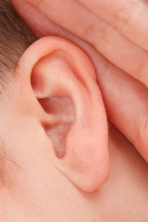 Listening Ear Free Stock Photo - Public Domain Pictures