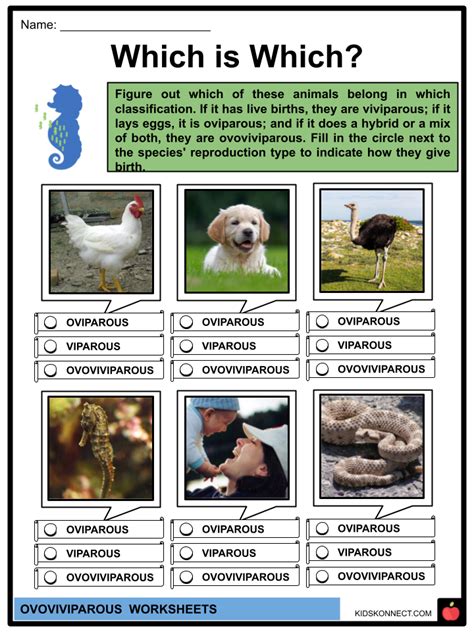 Ovoviviparous Worksheets | Definition, Oviparous and Viviparous