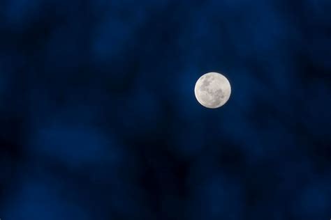 Premium Photo | Moon in the night sky Background