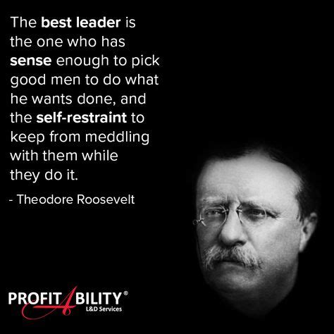 22 Teddy Roosevelt Quotes ideas | roosevelt quotes, quotes, teddy ...