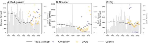 From data compilation to model validation: comparing three ecosystem models of the Tasman and ...