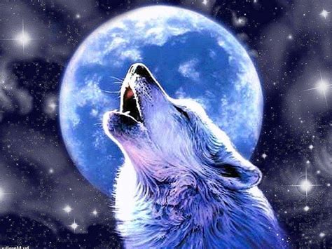 Anime Wolf Howling at the Moon Wallpapers
