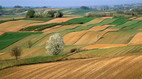 Beautiful View Of Farm Land HD Nature Wallpapers | HD Wallpapers | ID ...