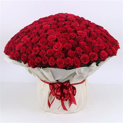 Red bouquet of roses, Send Bouquet of 500 Red Roses | Order now at ...