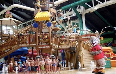 Great Wolf's Huge New Indoor Water Park Opens Near Disneyland in ...