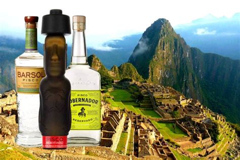 Top 10 Best Pisco Brands Reviewed | Drinks Geek