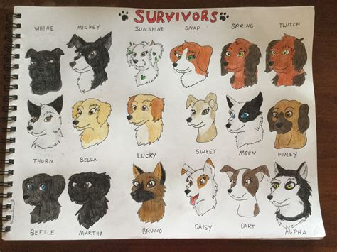 Survivors Pack “Erin Hunter” drawing | Warrior cats, Animal jam, Survivor