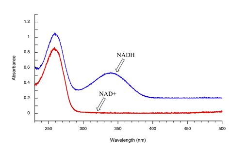 biochemistry - Measuring reaction rates when reactants and products both have (different) molar ...