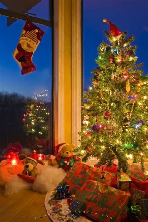 Christmas Tree Traditions | Photo, Information