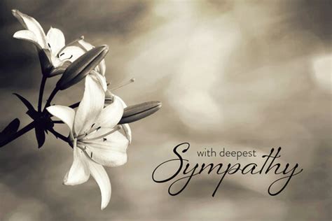 "Sympathy Card" Images – Browse 1,366 Stock Photos, Vectors, and Video ...