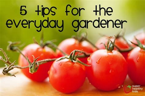 5 Tips for the Every Day Gardener - Super Healthy Kids