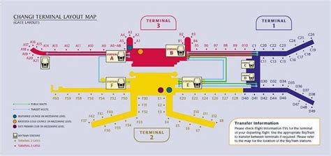 Sơ đồ sân bay Singapore - Changi | Changi, Singapore changi airport, Airport map