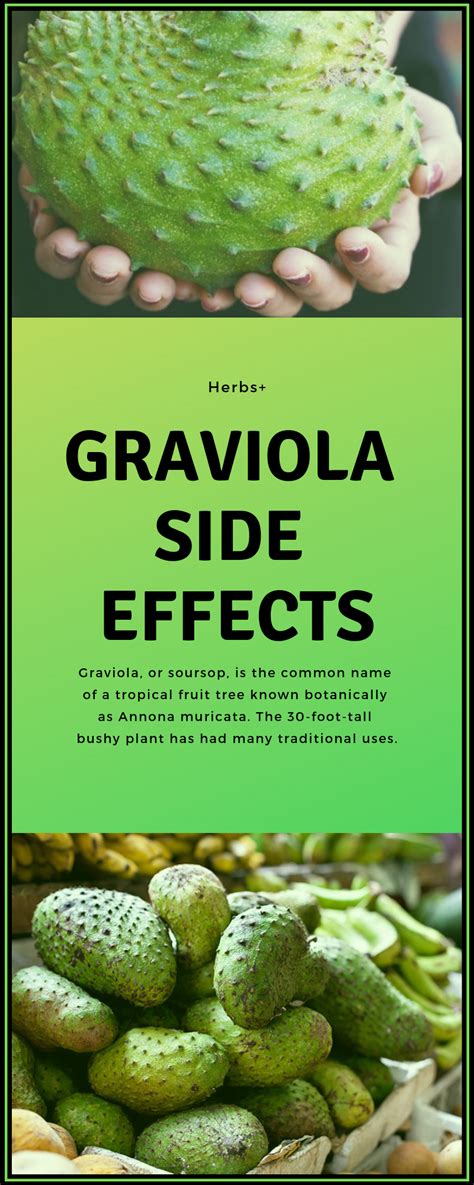 Graviola Side Effects | Soursop benefits, Natural health tips, Graviola