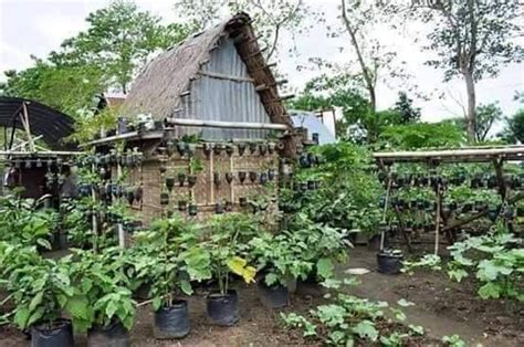 Bahay Kubo kahit munti; Ang halaman doon ay sari-sari | Garden design ...