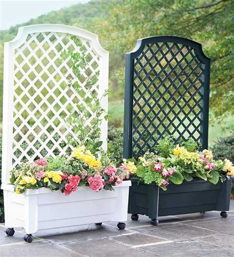 Plastic Planters With Trellis Attached Uk - Garden Plant