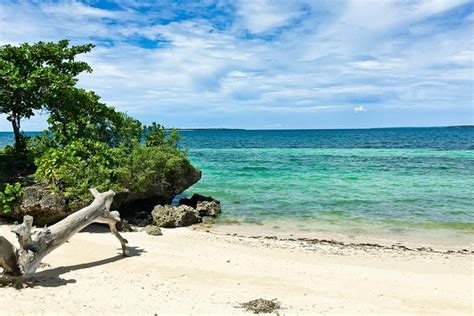 15 Amazing Beaches In Cebu, Philippines - Updated 2023 | Trip101