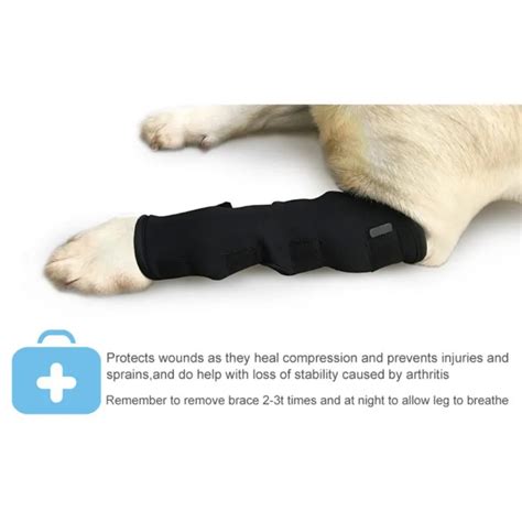 Pet Dogs Protection Bandage Wounds Extra Dog Canine Rear Legs Fix Hock ...