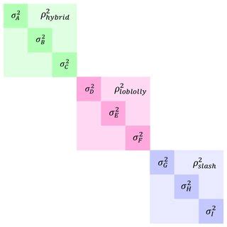 A visualization of the covariance matrix specification to account for... | Download Scientific ...