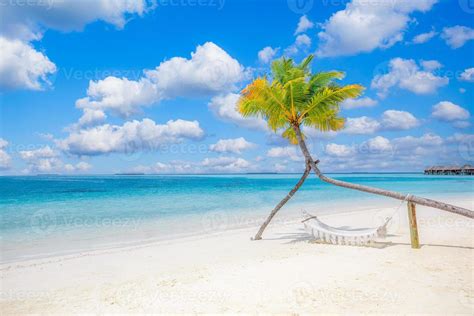 fondo de playa tropical como paisaje de verano con columpio de playa o hamaca y arena blanca y ...