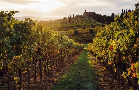 The 8 Best Tuscan Wine Tours of 2022