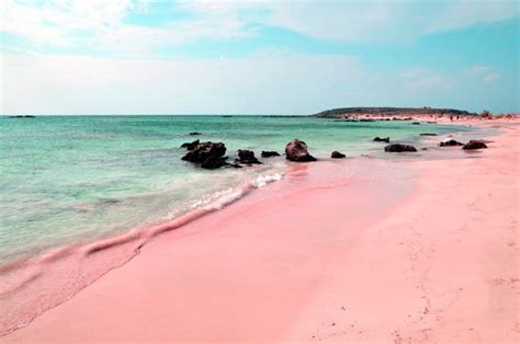 The Unique Pink Sands Beach in Harbour Island, the Bahamas