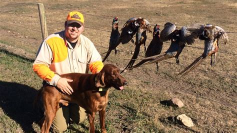 South Dakota Pheasant Hunting Day 1 2016 - YouTube