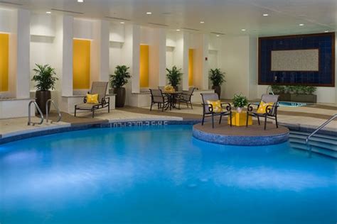 Sheraton Albuquerque Uptown Hotel #blue #yellow #indoorpool | Saltwater pool, Hotel, Pet ...