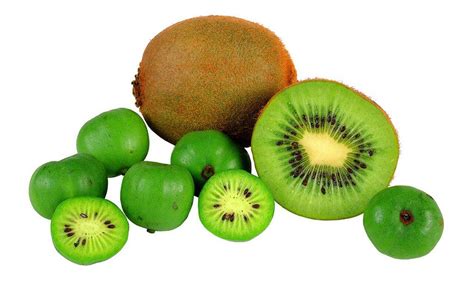 Flavor of the week: Baby Kiwifruit - lehighvalleylive.com