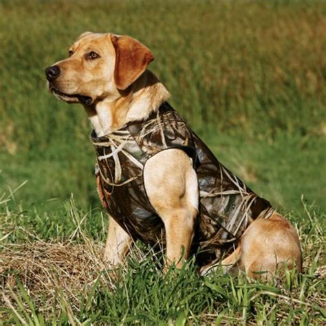 3mm thickness[ $10.00 ] neoprene dog vest for hunting