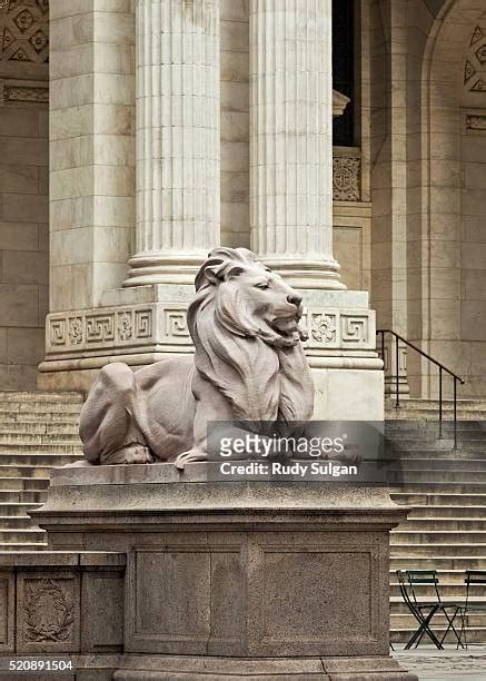 5,374 New York Public Library Lions Stock Photos, High-Res Pictures ...