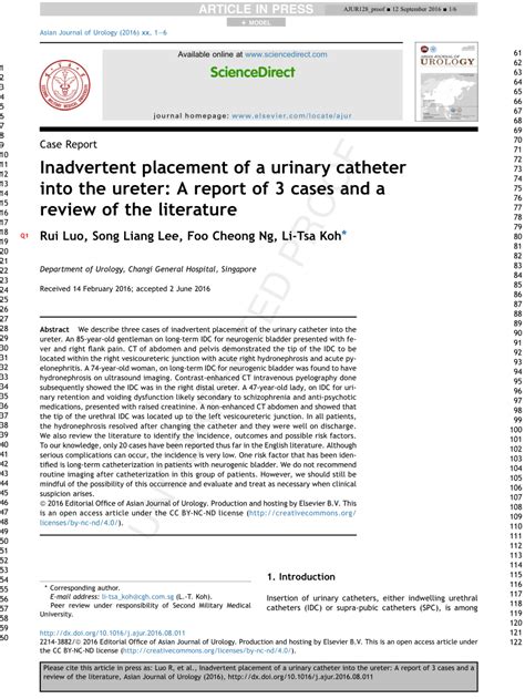 (PDF) Inadvertent placement of a urinary catheter into the ureter: A report of 3 cases and ...